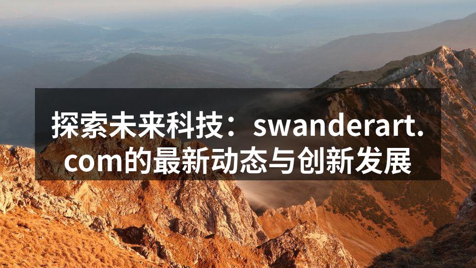 swanderart.com最新产品发布会现场
