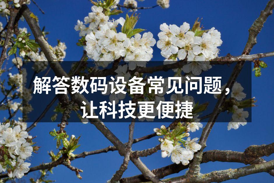 数码设备的多样选择